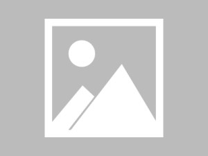 彼岸影像｜多清晰度自适应说明（站点指南）｜Vol.64