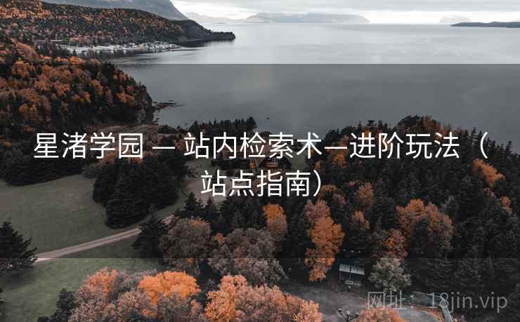星渚学园 — 站内检索术—进阶玩法(站点指南) 星渚学园 — 站内检索术—进阶玩法(站点指南)